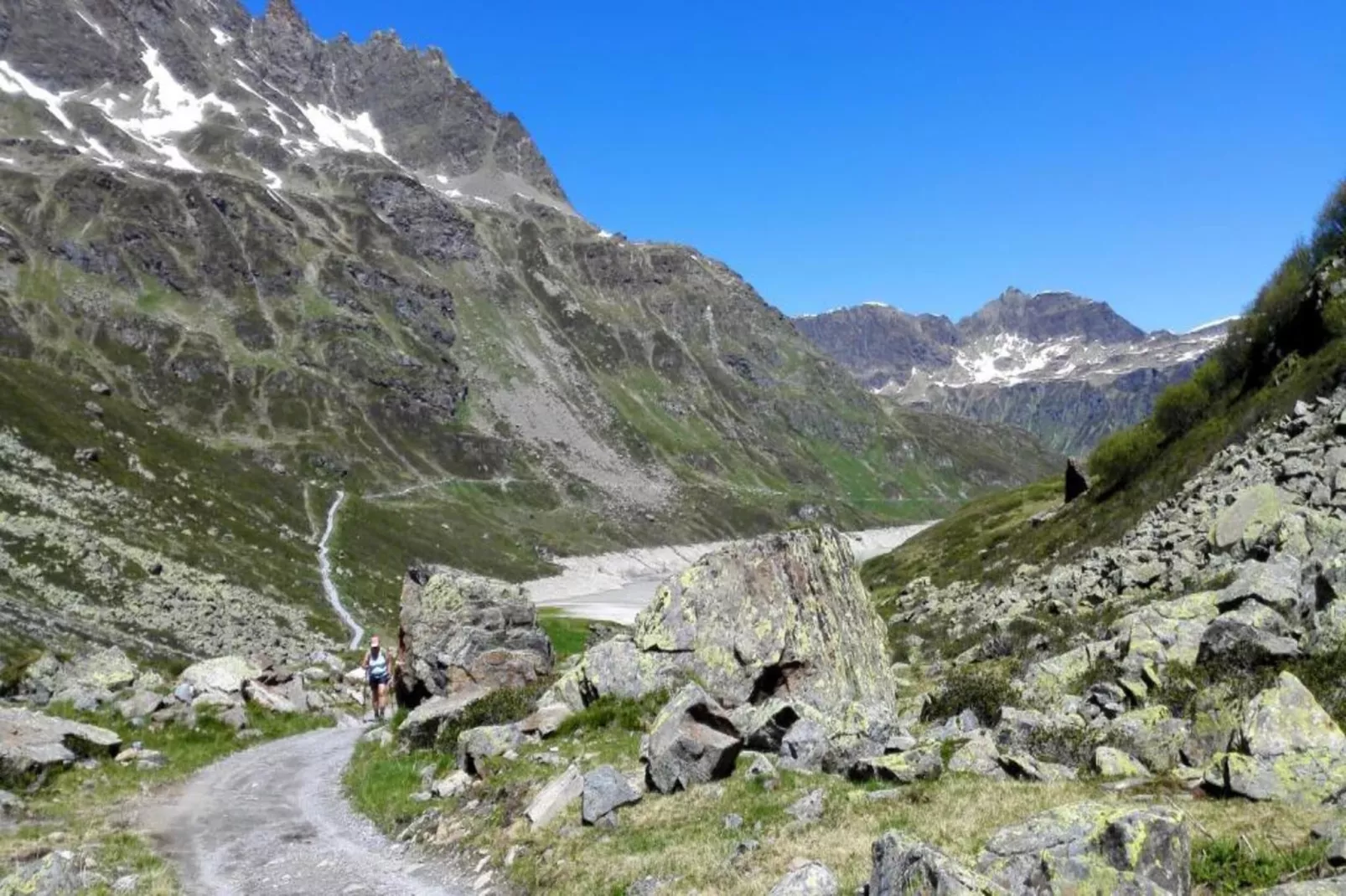 Bials-Areas within 20km in summer