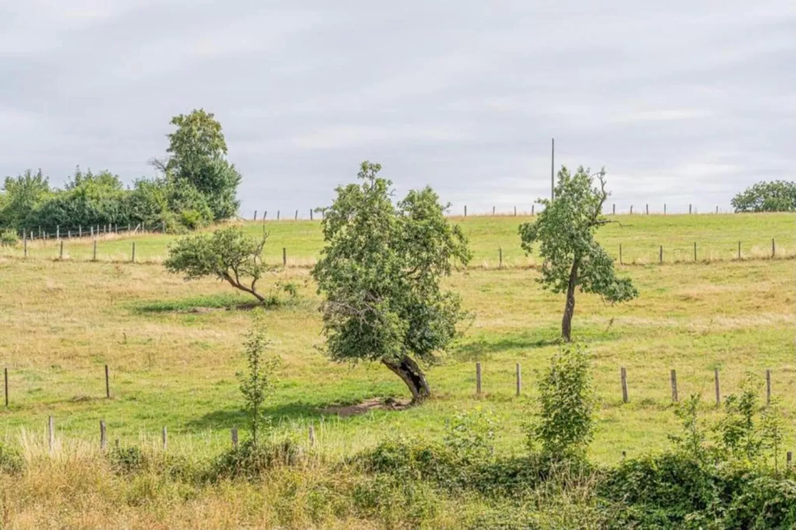 La Ferme Tirou-Gebiete Sommer 5 km
