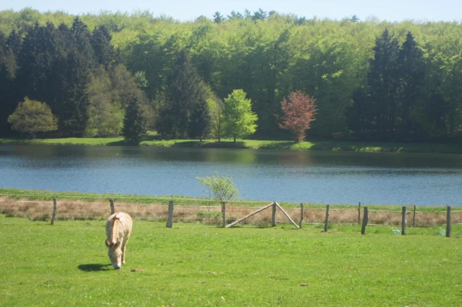 Perle d'Achouffe-Areas within 20km in summer