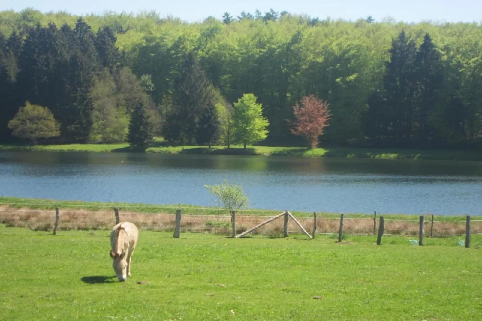 Chalet Chocolat-Areas within 20km in summer