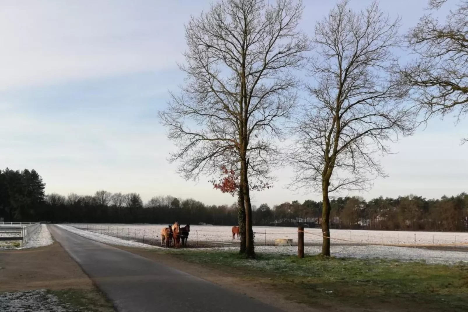 Broville-Gebiete Sommer 20 km