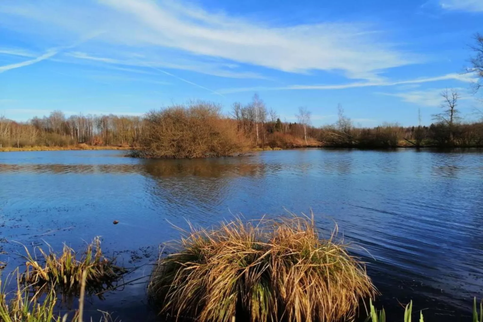 Le Bochetay 12-Areas within 20km in summer