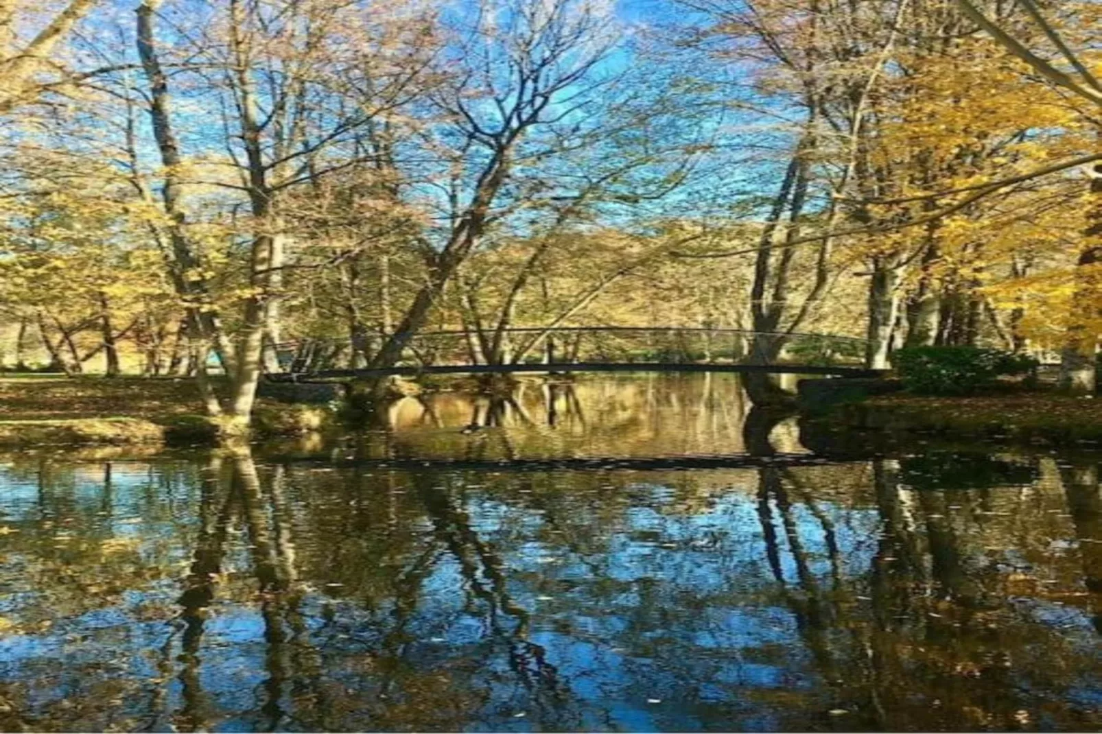 Jules & Paula-Areas within 20km in summer