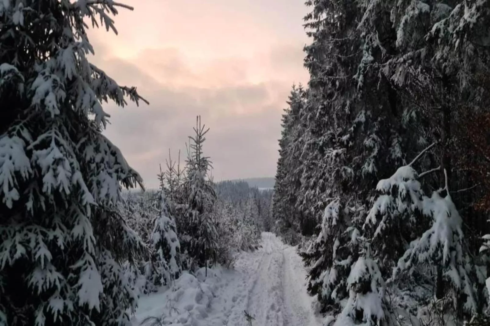 Jardin de l'Ourthe 22-Area within 20km in winter
