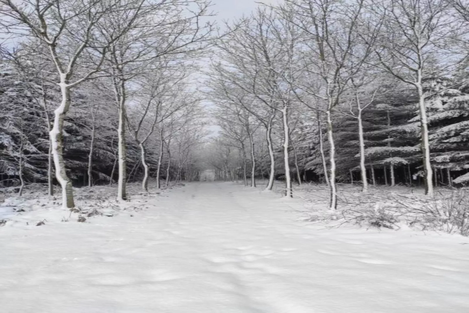 Chez Beau-Area within 20km in winter