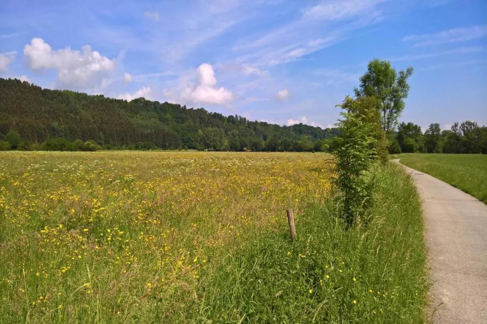 Poppenhuis-Gebiete Sommer 20 km
