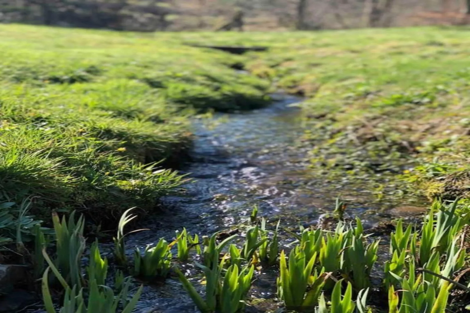 Le Pré en Bulles-Zones été à 20 km