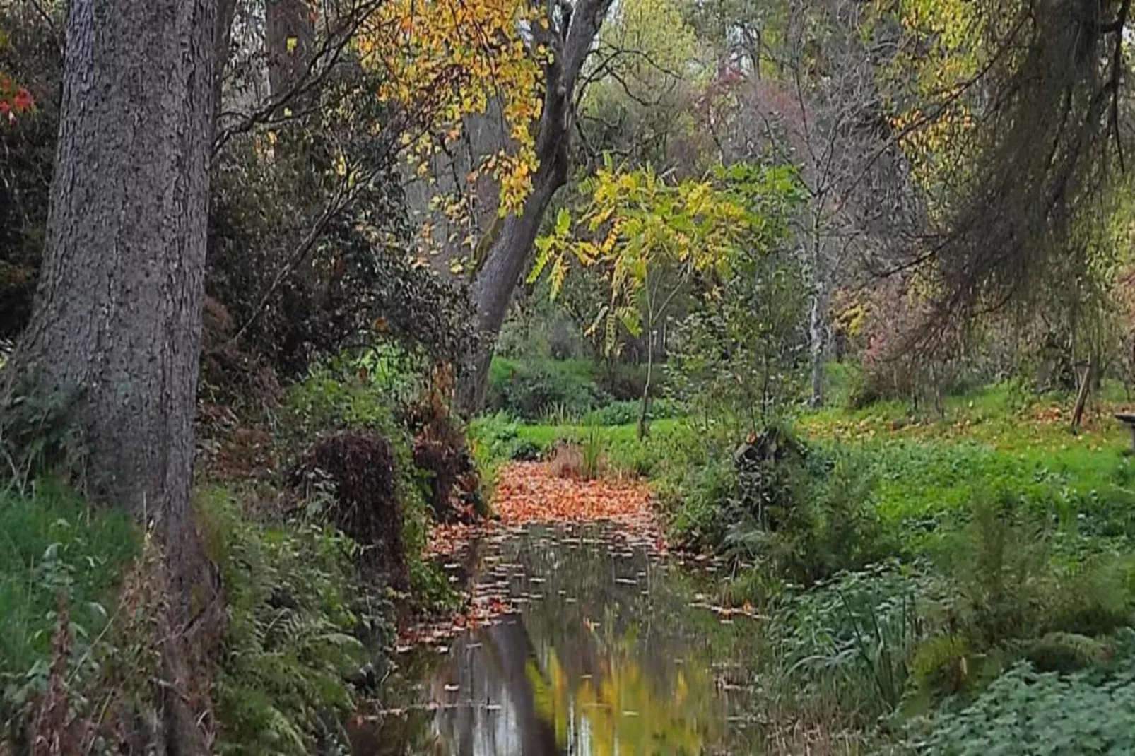 Les Petits Cotteaux-Areas within 20km in summer
