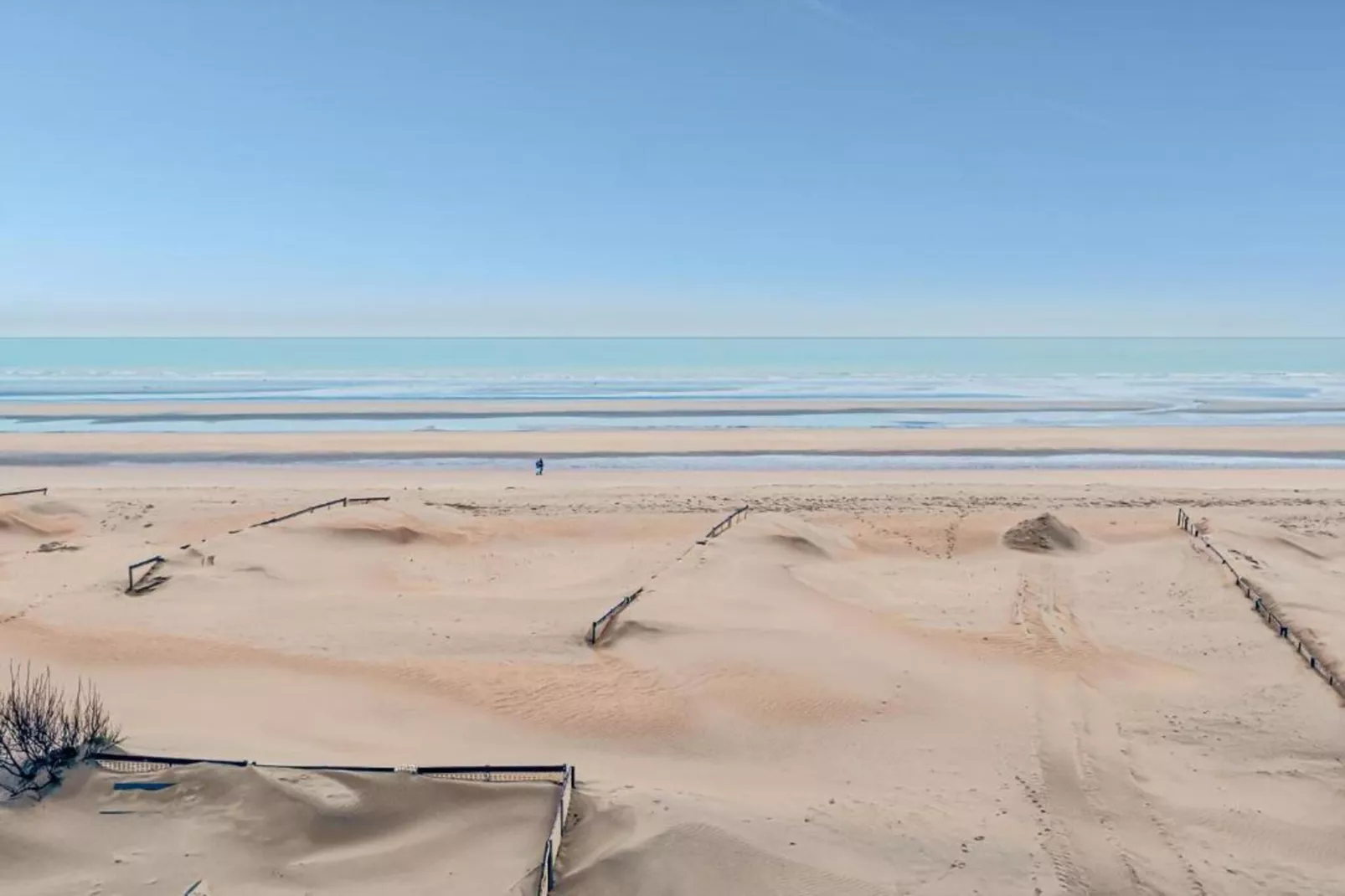 Zilte Rust-Areas within 20km in summer