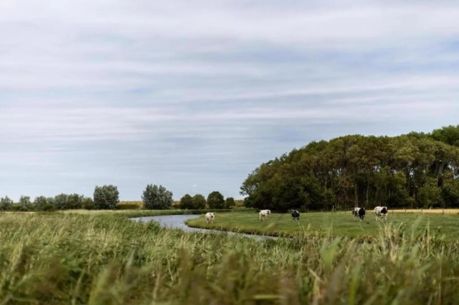 De Reus van Horebeke-Zones été à 20 km