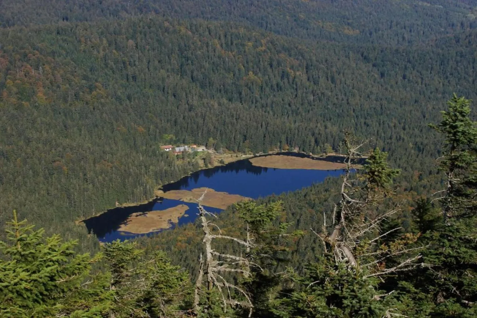 Matej-Areas within 20km in summer