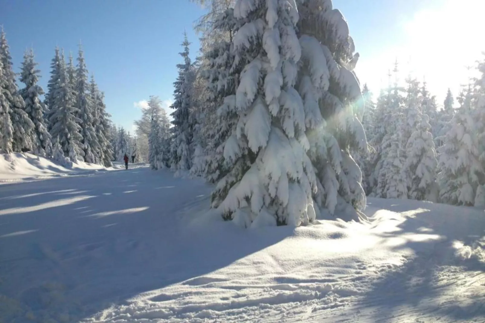 Monika-Area within 5km in winter