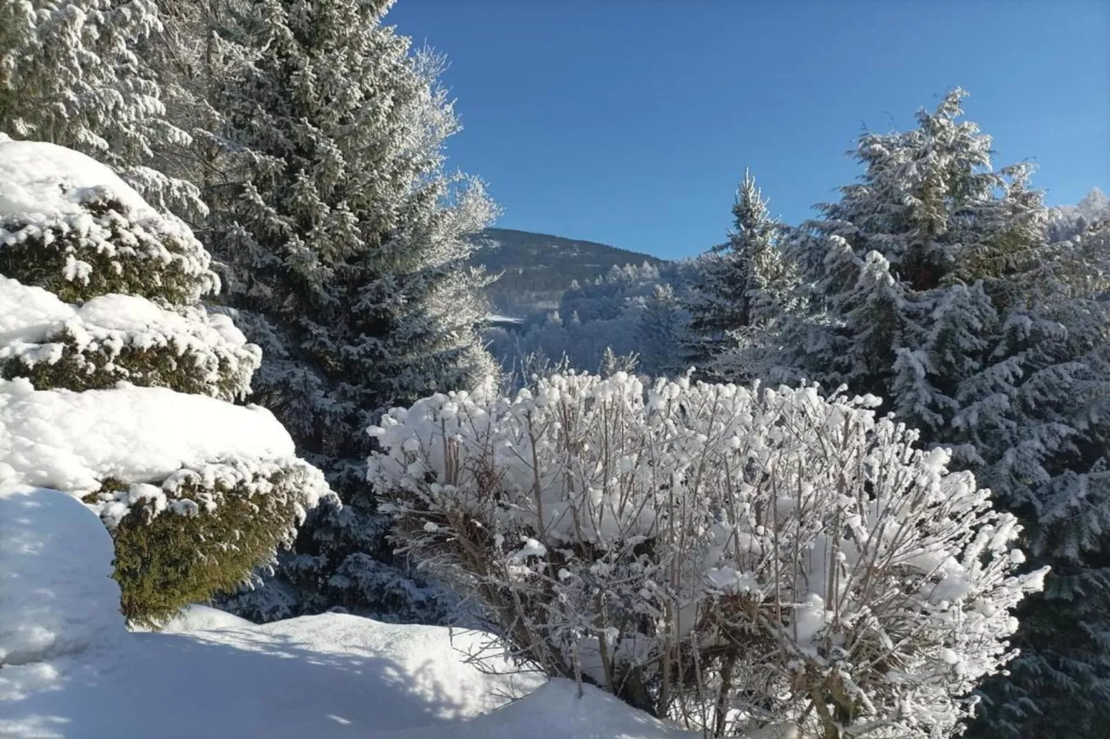 Rokytno-Area within 20km in winter