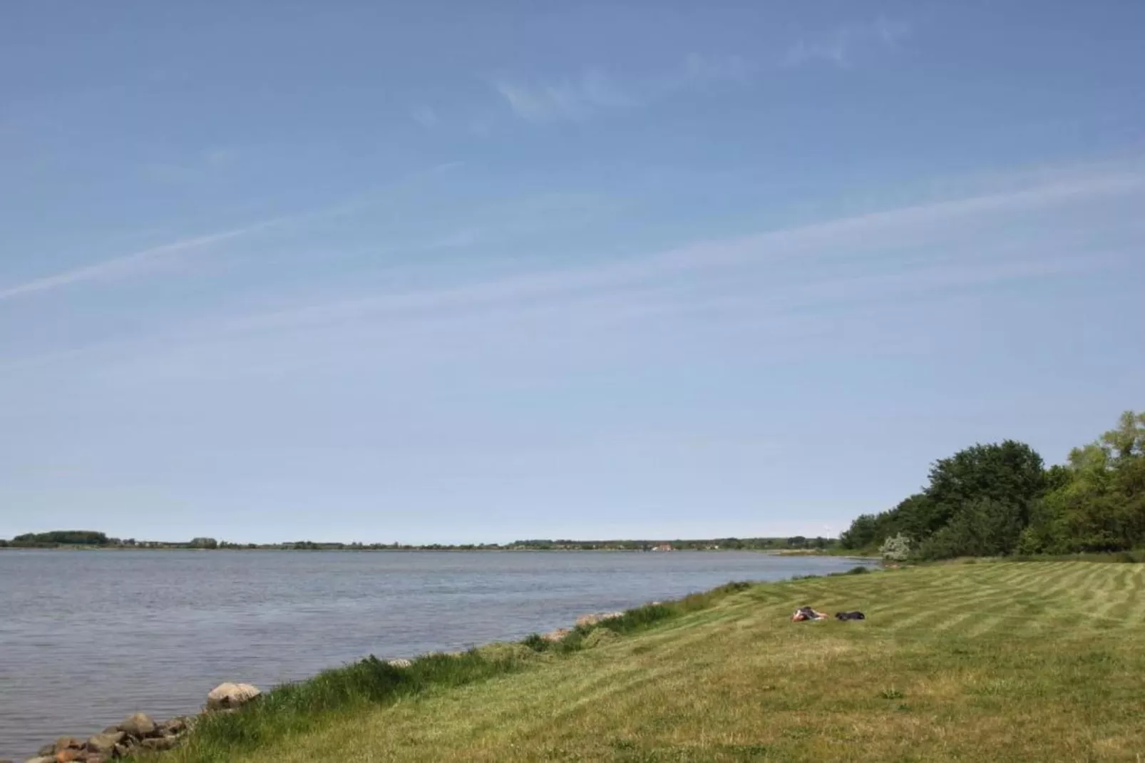 Lachmöwe 2-Areas within 20km in summer
