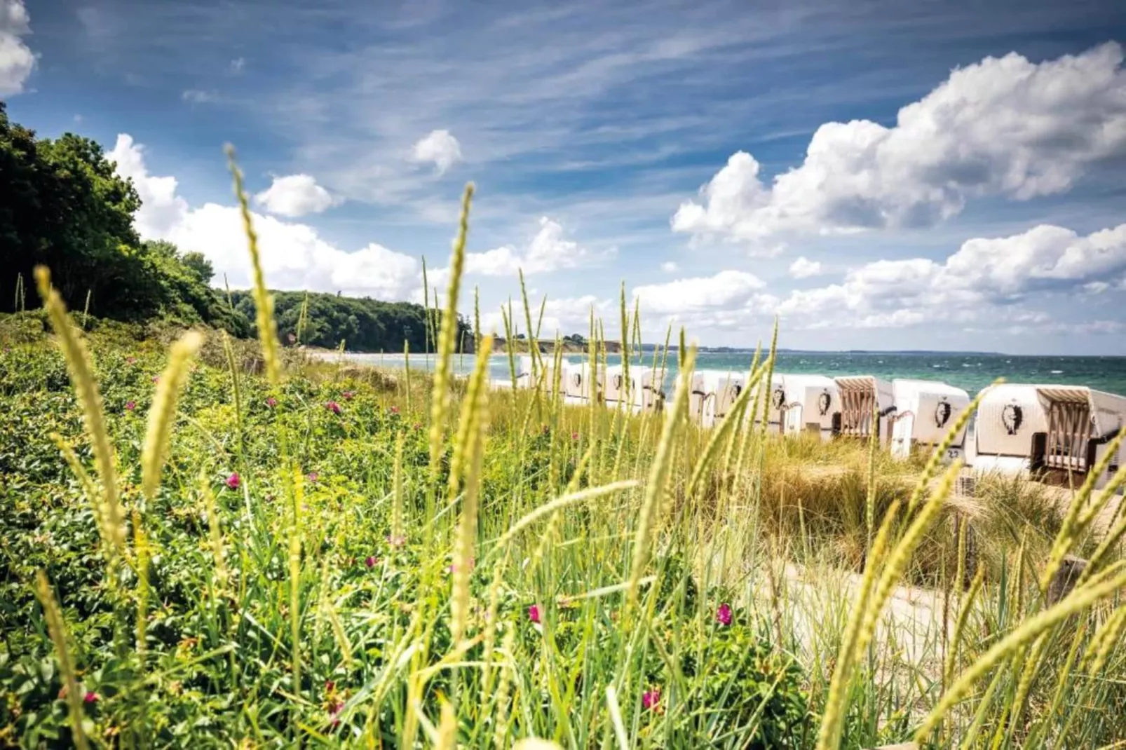 Sonniger Ausblick-Areas within 20km in summer