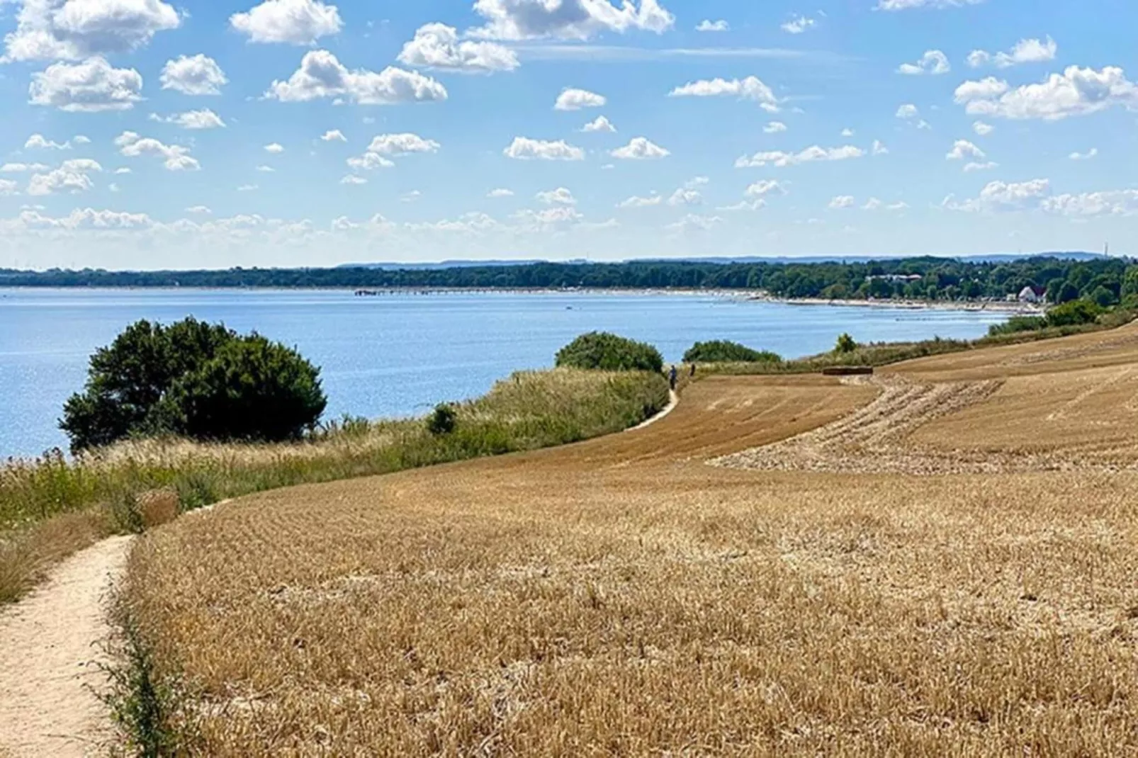 Platz im Grünen 3-Areas within 5km in summer