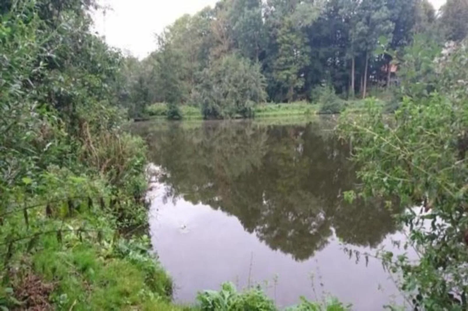 Reetdach 4 Linden-Areas within 20km in summer