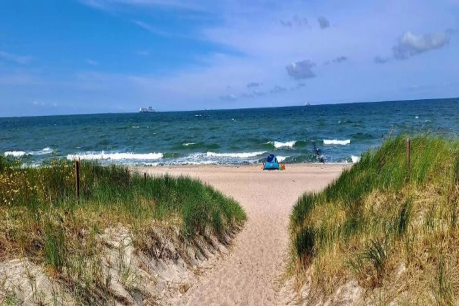 Kobaltblume-Areas within 20km in summer