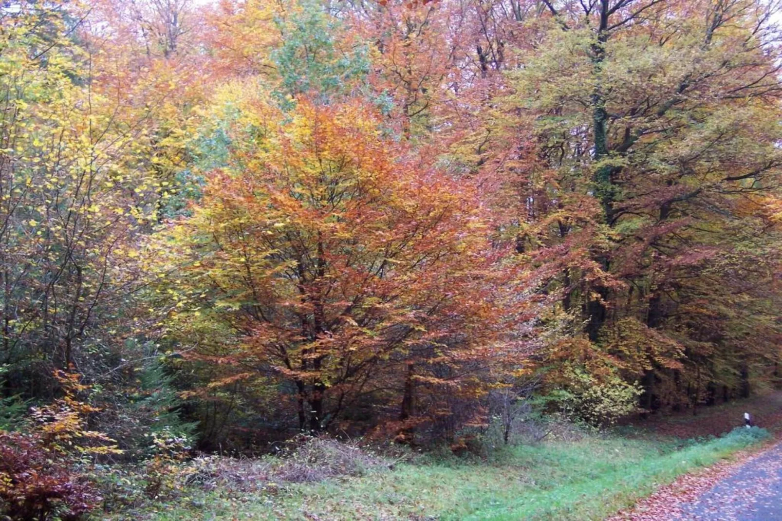 Ferienwohnung Obergeschoss Weitblick II-Areas within 5km in summer