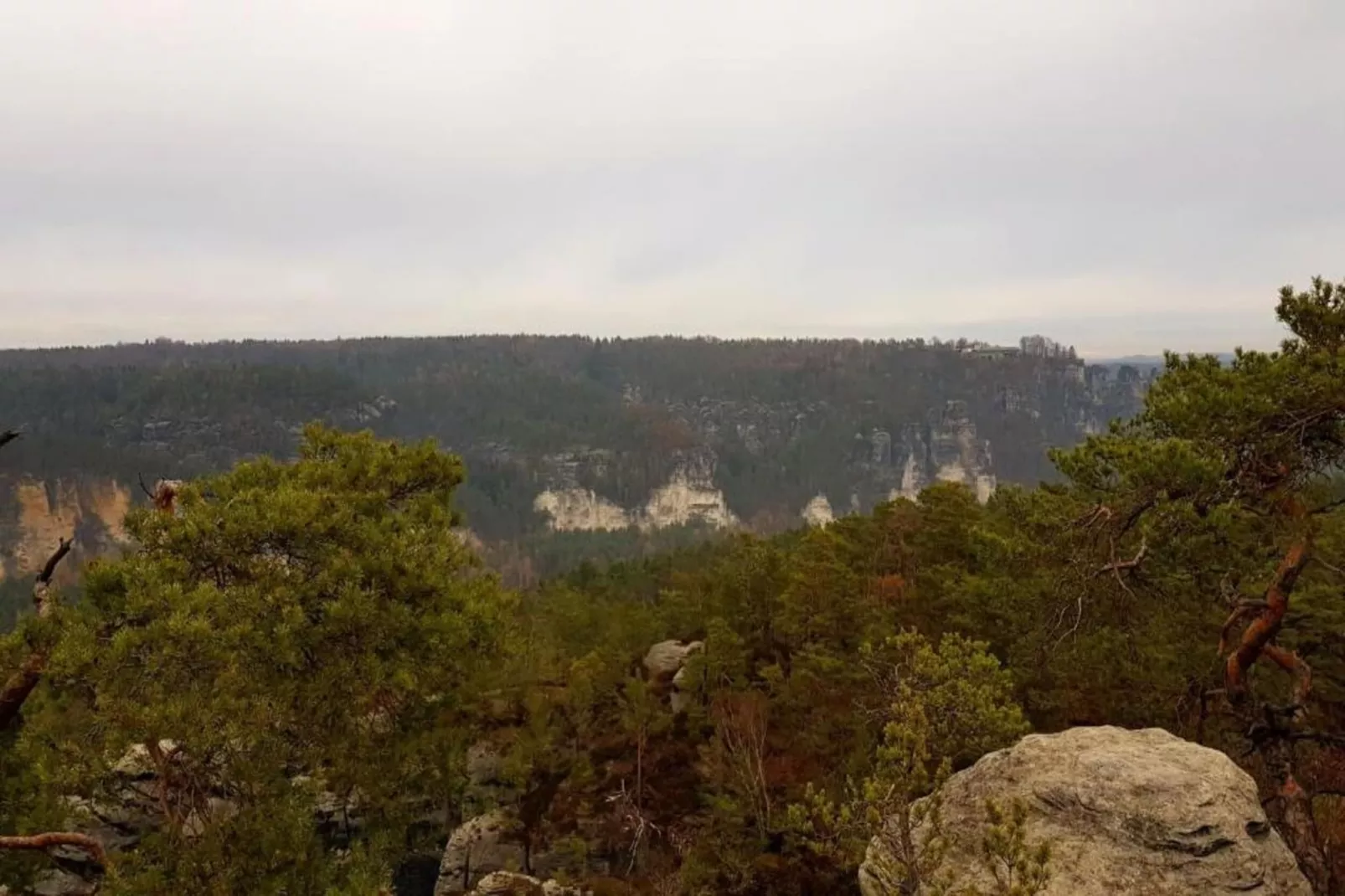 Bastei-Areas within 5km in summer