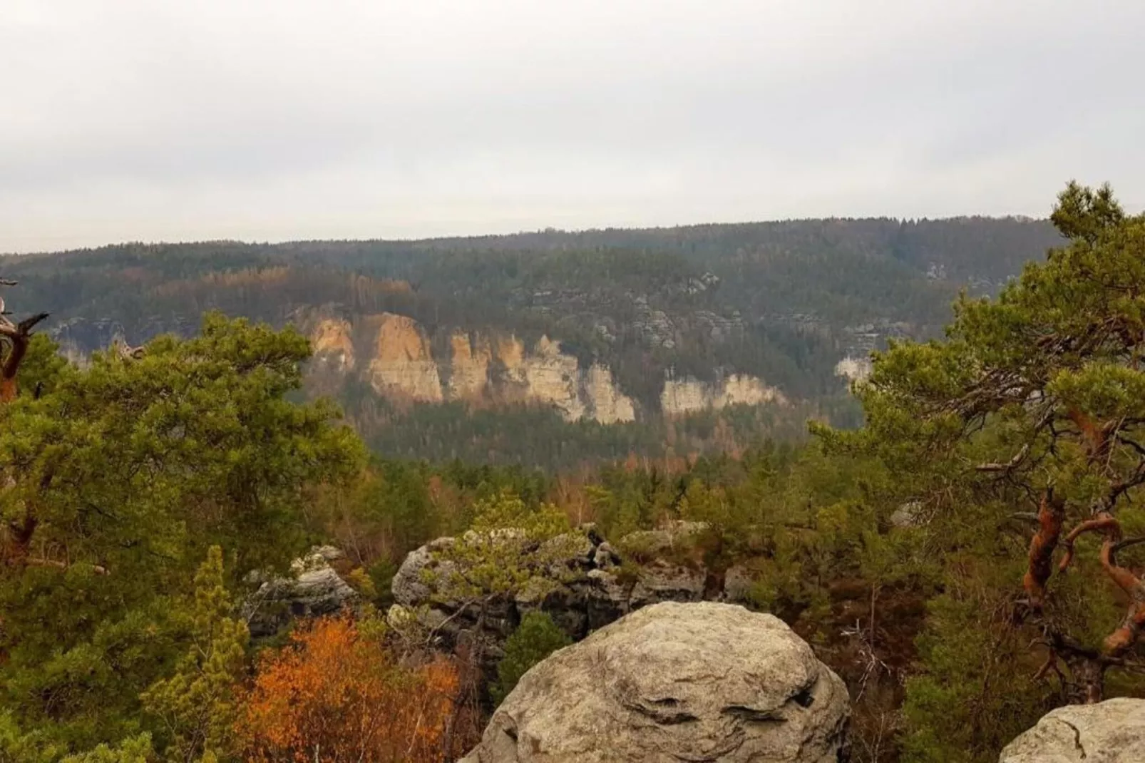Baerenstein-Areas within 5km in summer