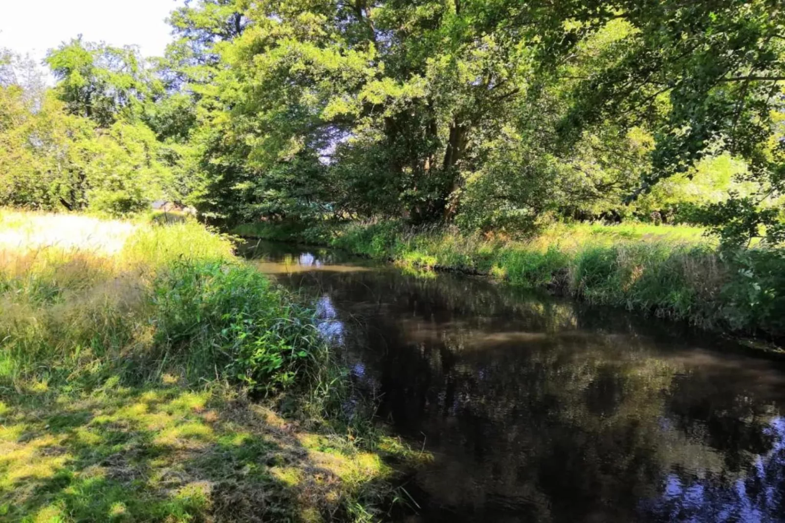 Waldblick-Areas within 5km in summer