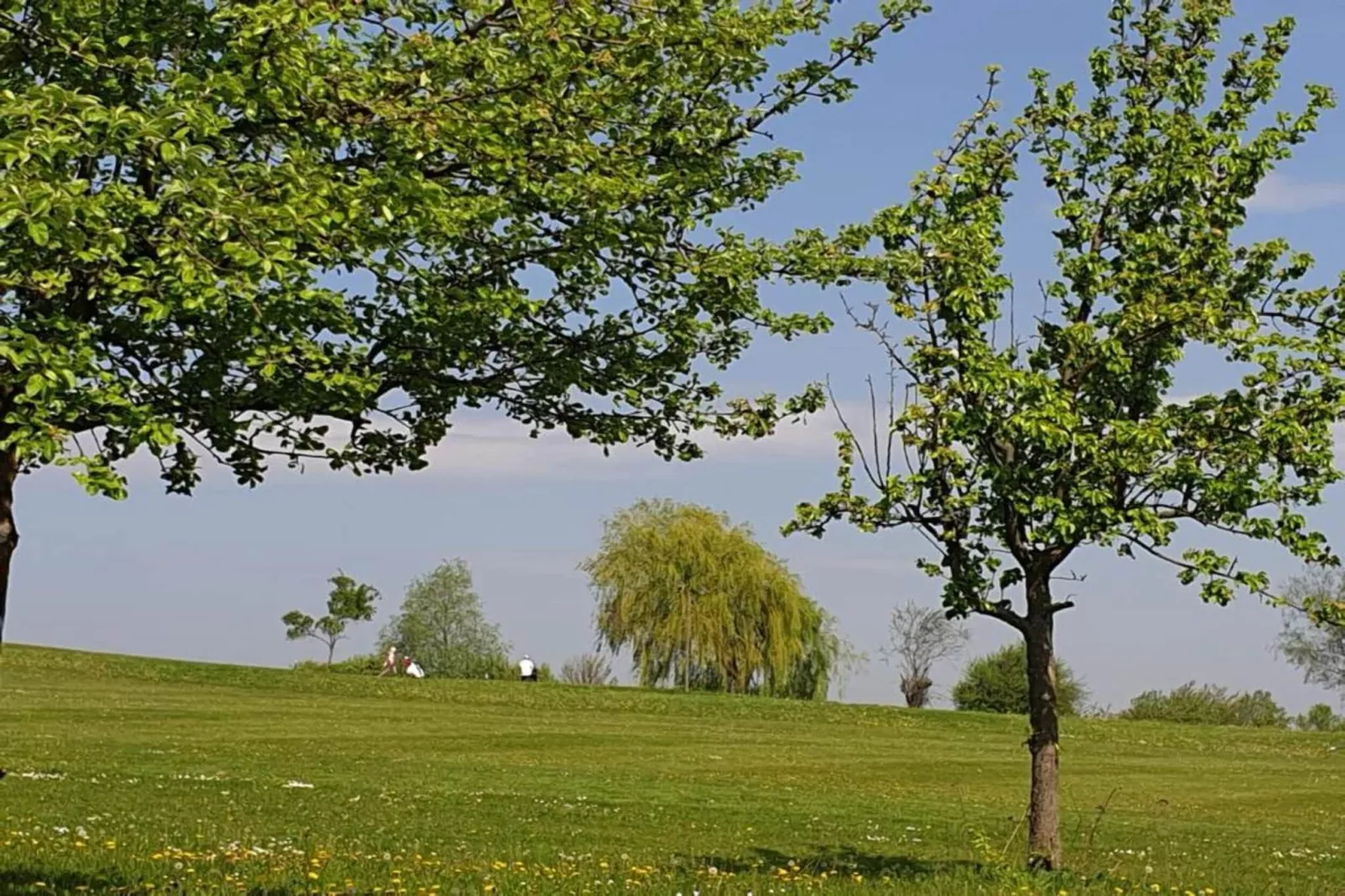 Meisdorf I-Gebiete Sommer 5 km