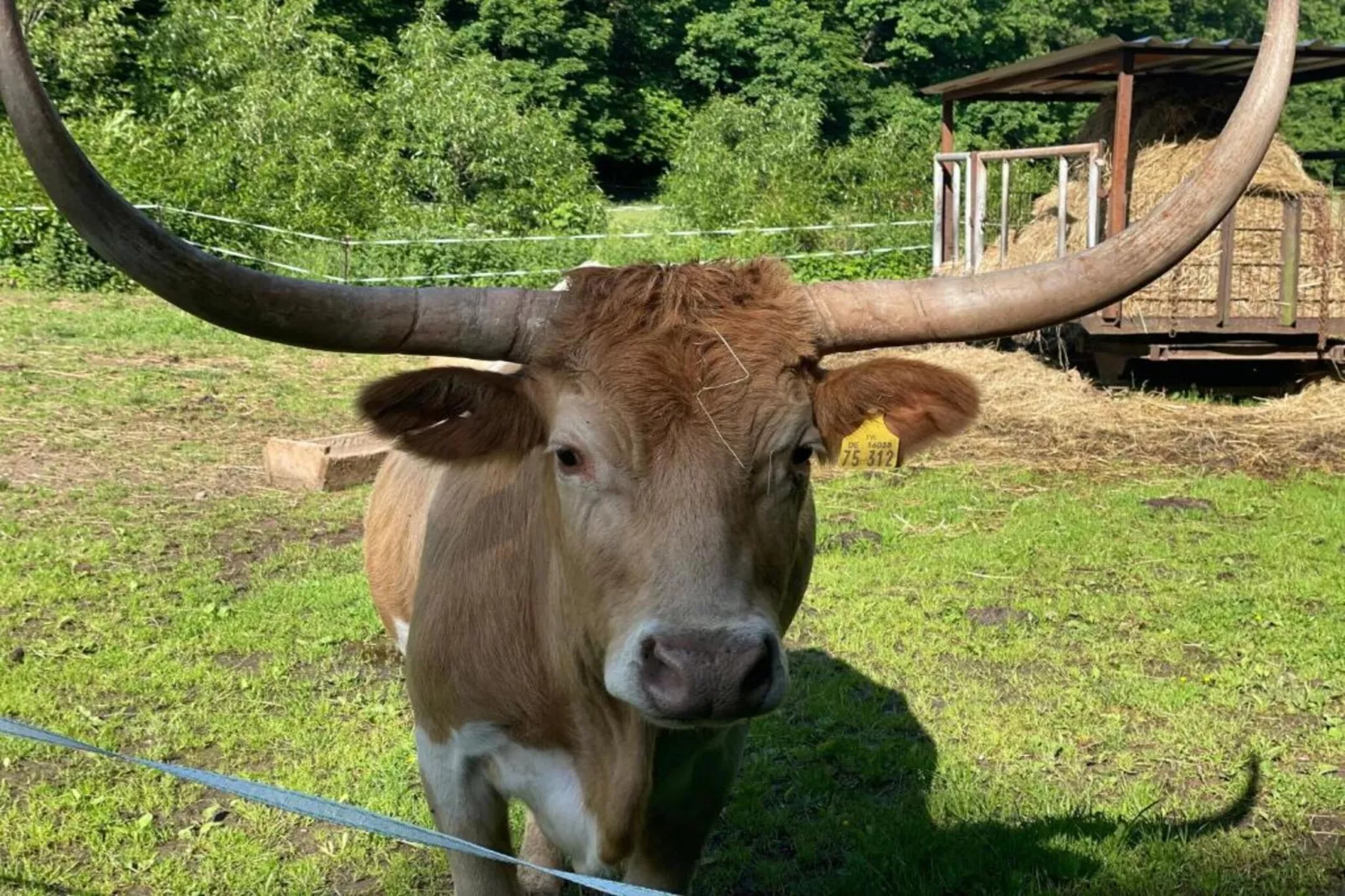 Holzhaus Ute-Areas within 20km in summer