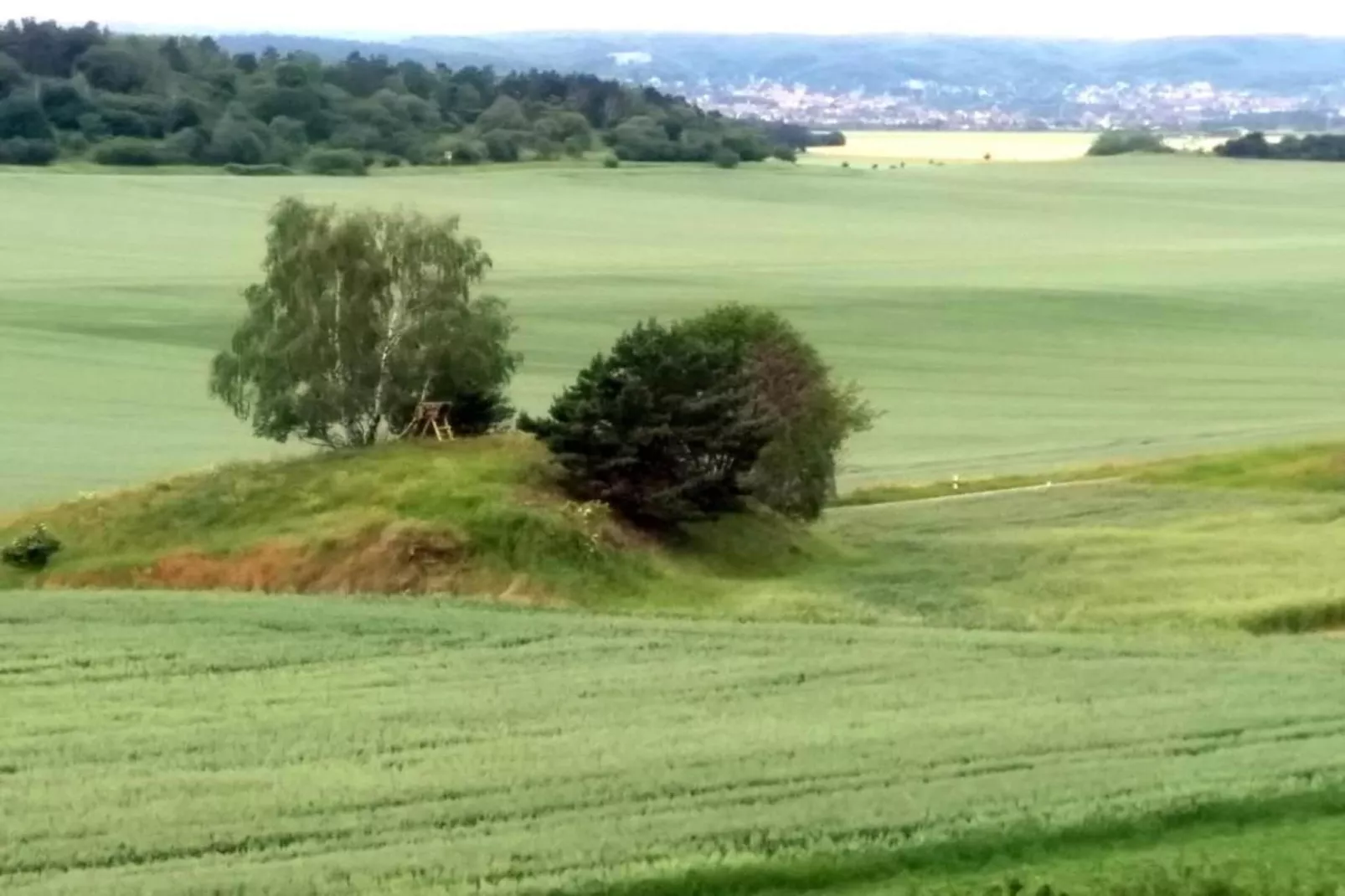 Ballenstedt-Gebiete Sommer 20 km