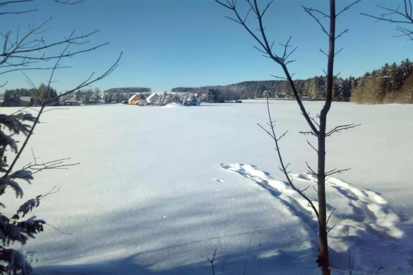 Vogtland-Area within 20km in winter