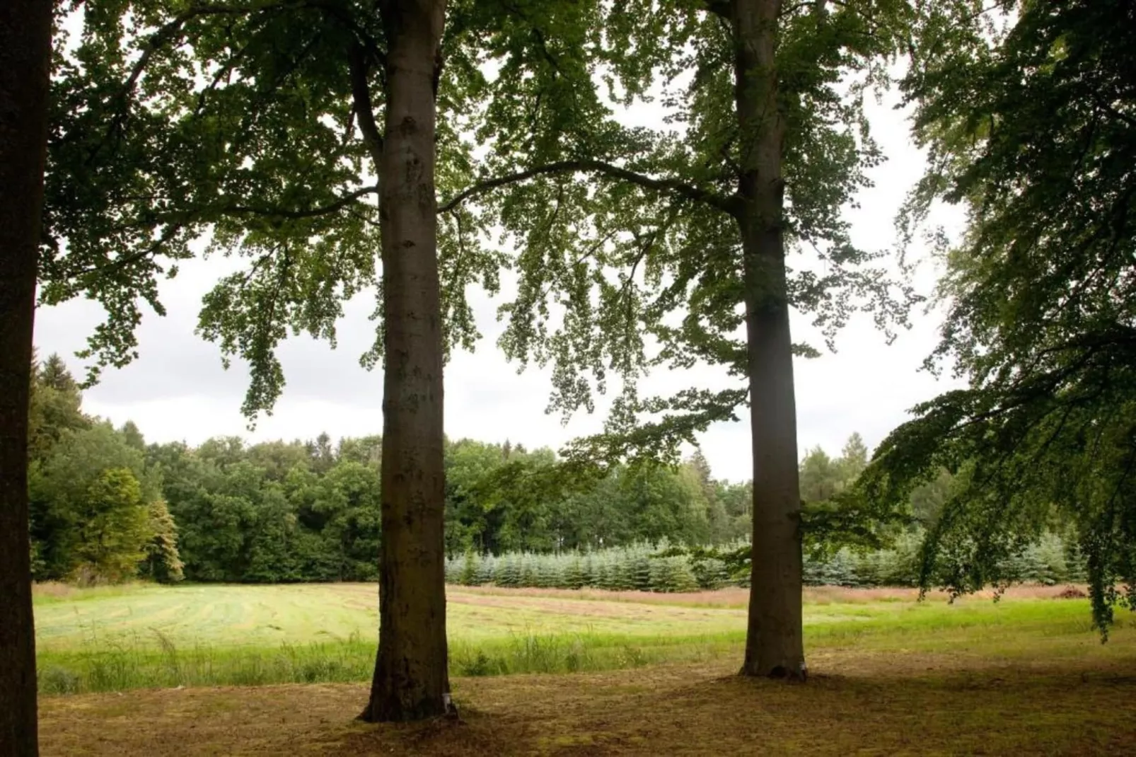 Im Erzgebirge-Areas within 20km in summer
