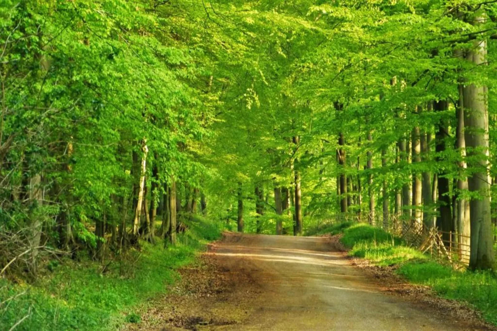 Mühle mit Charme-Zones été à 20 km