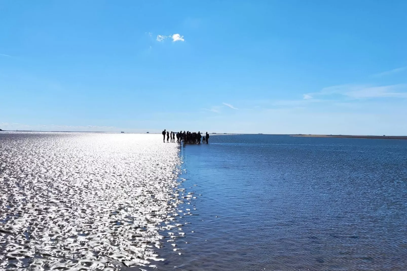 Ferienhaus Föhr-Gebiete Sommer 5 km
