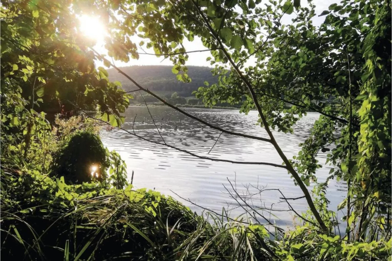 Im Teutoburger Wald-Gebiete Sommer 5 km