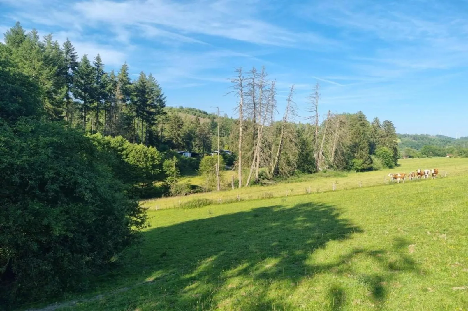 Am Weiher-Areas within 5km in summer