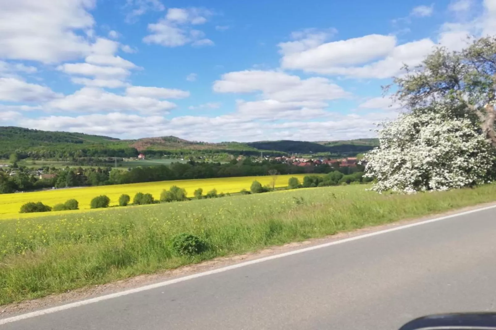 Wienrode-Gebiete Sommer 20 km