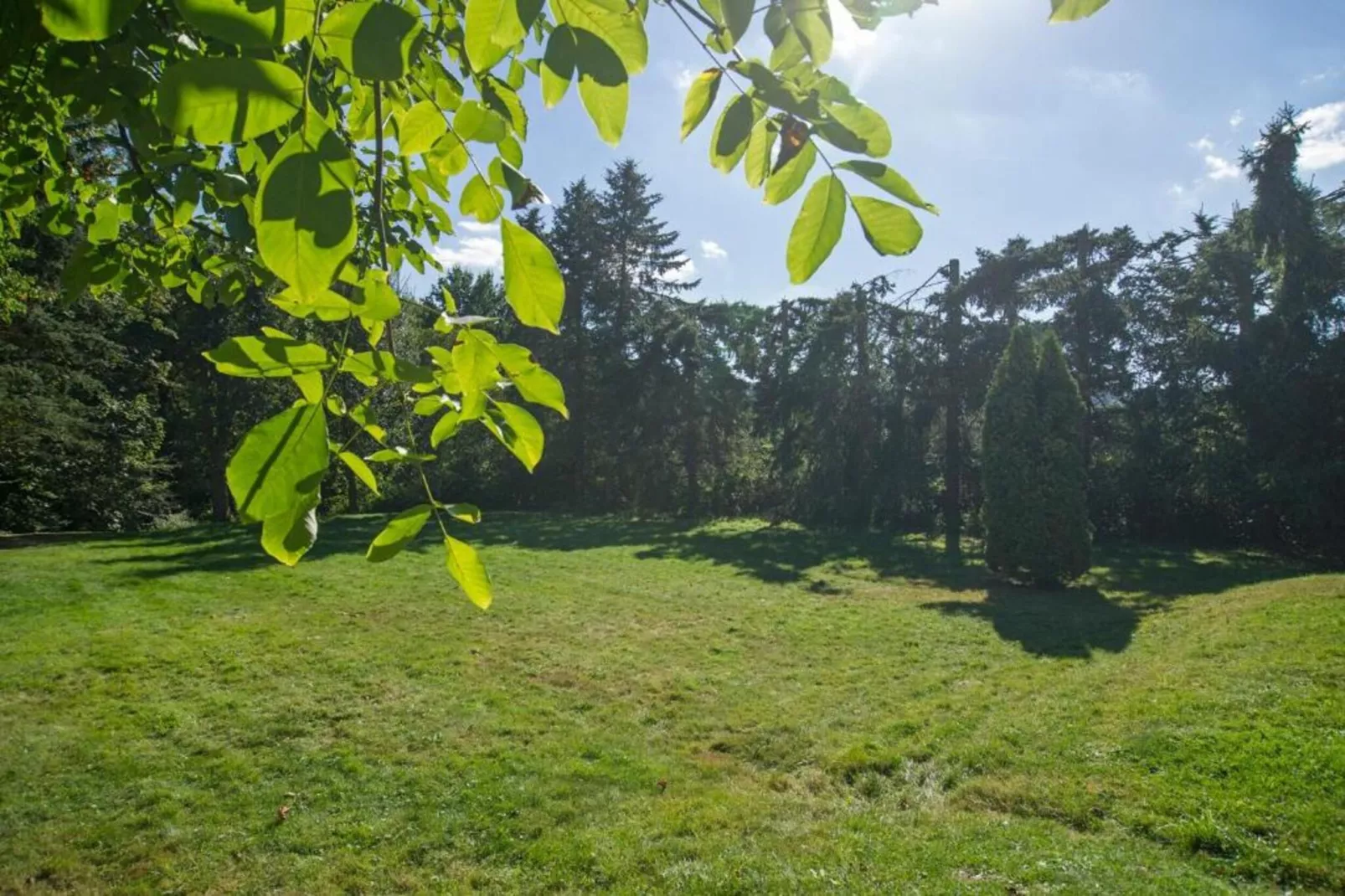 Resort Eifeler Tor 3-Zones été à 5 km