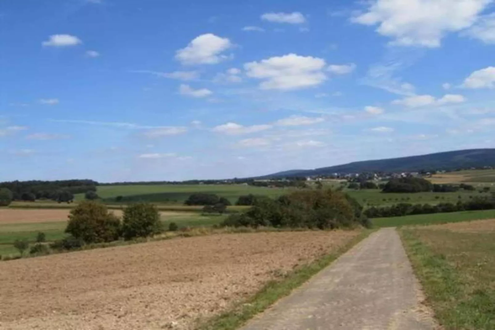 Schwalbennest-Areas within 5km in summer