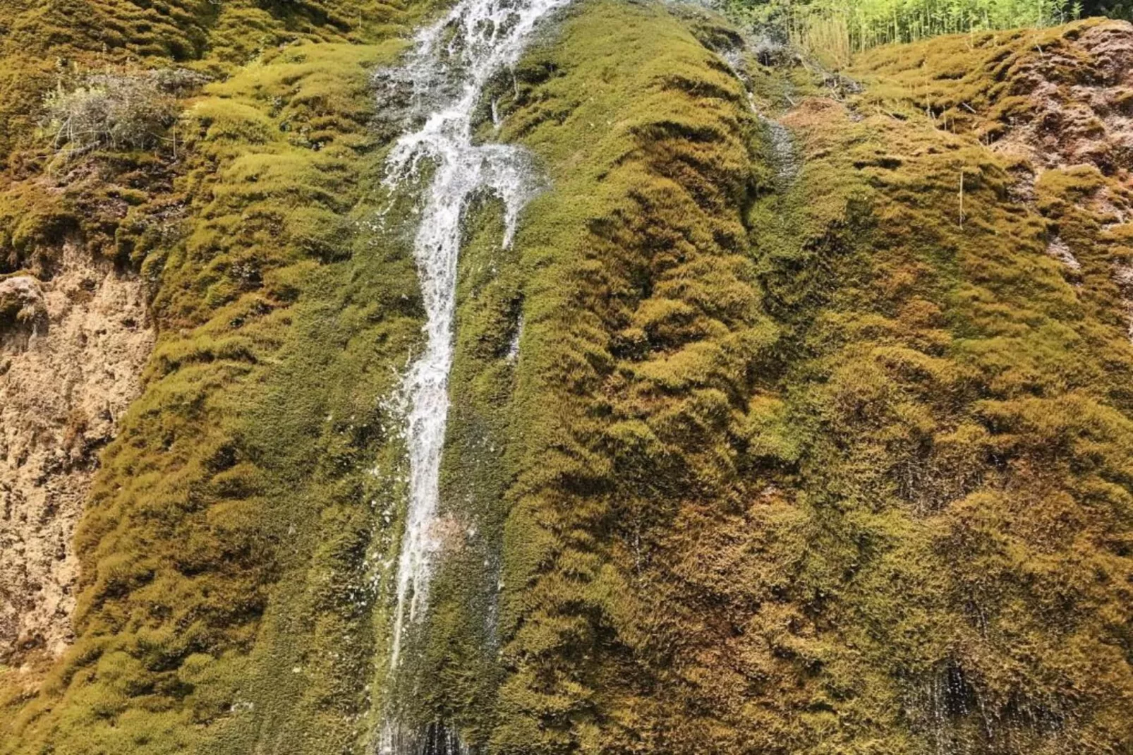 Waldferienpark Gerolstein 2-Areas within 20km in summer