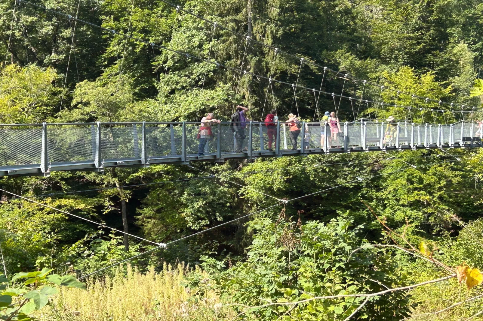 Am Schäferhof-Gebiete Sommer 1 km
