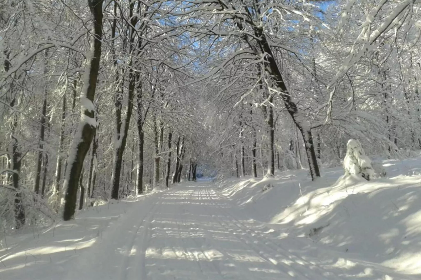 Ferienwohnung Silbecke-Gebiet Winter 20 km