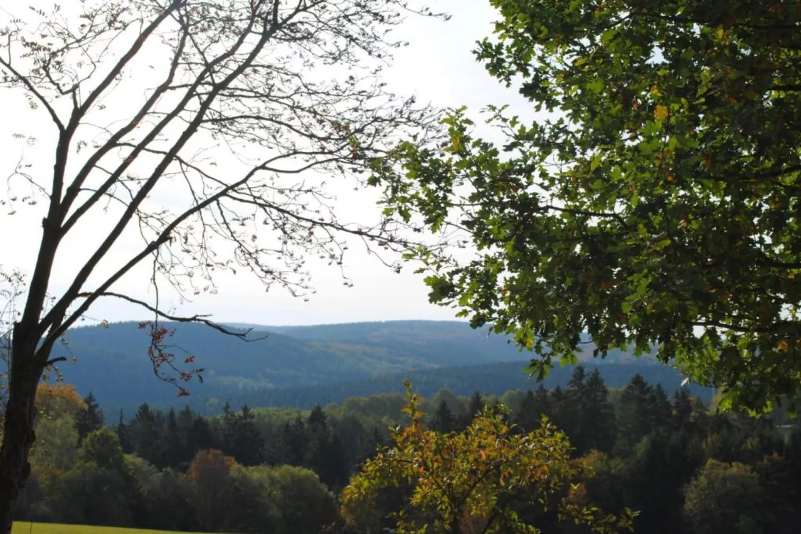 Sauerland-Gebiete Sommer 5 km