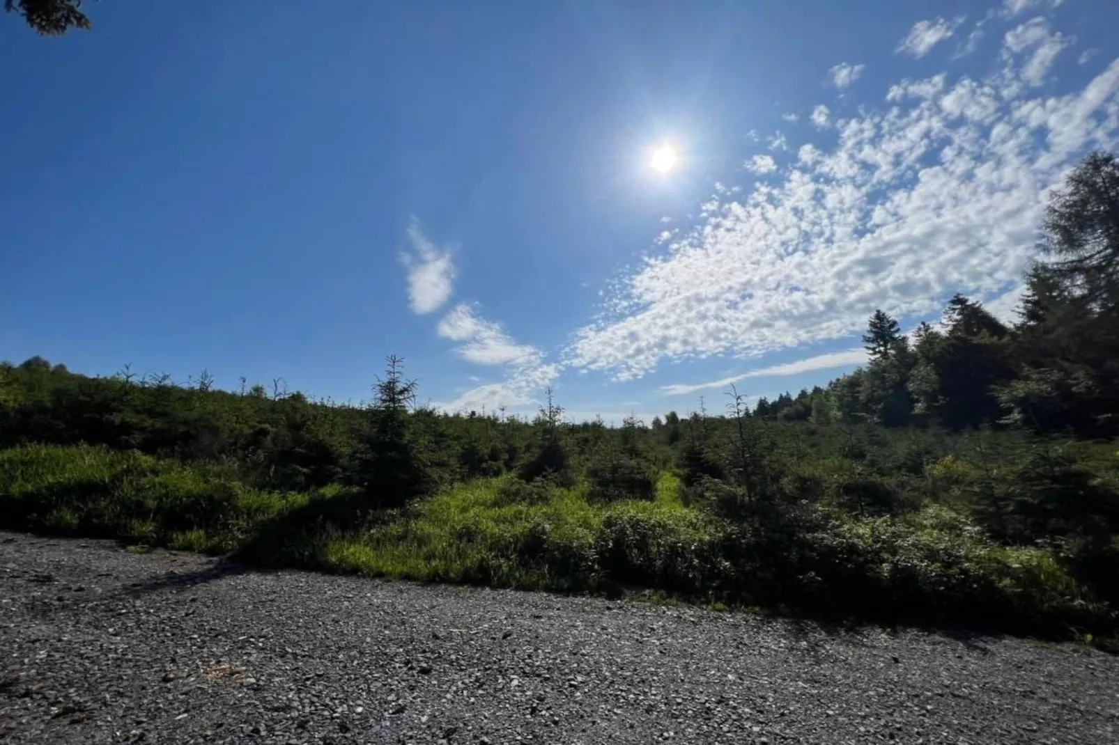 Im Ries-Gebiete Sommer 5 km