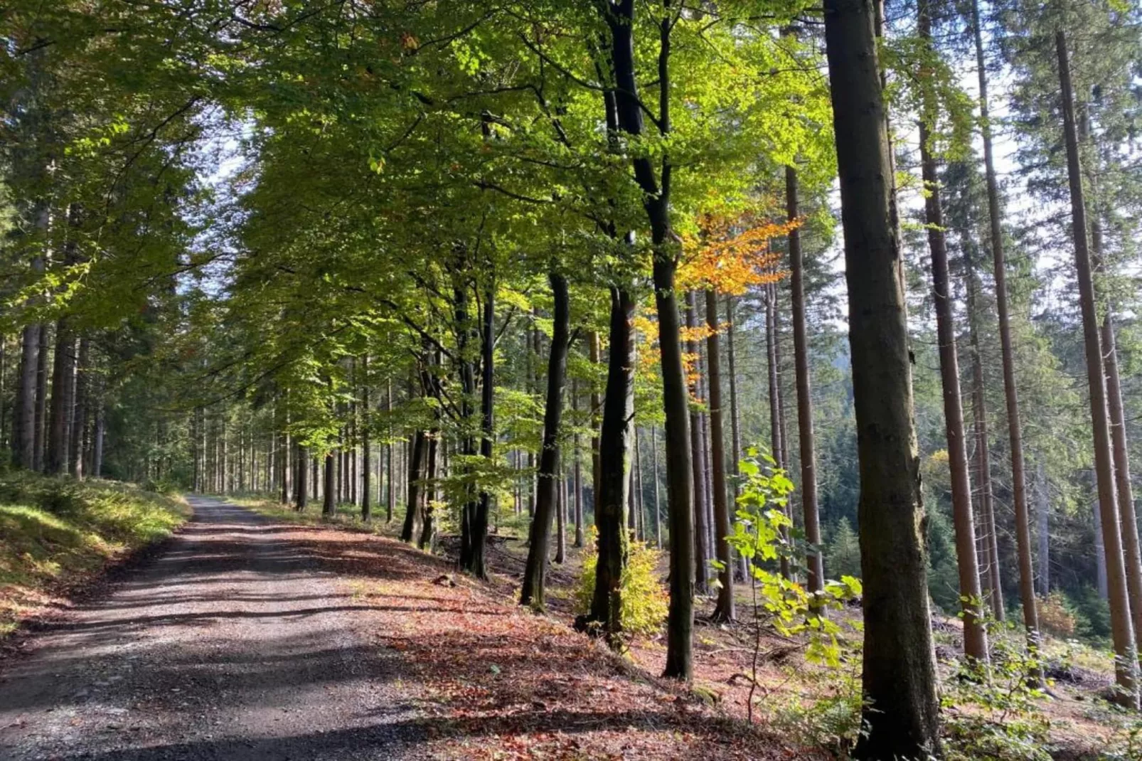 Bergresort Winterberg 3 - Gebiete Sommer 20 km