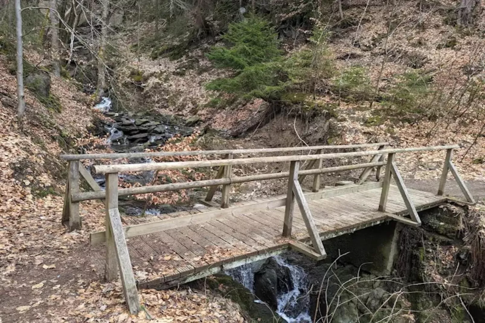 Buchenweg 13 - Kappenblick-Zones été à 5 km