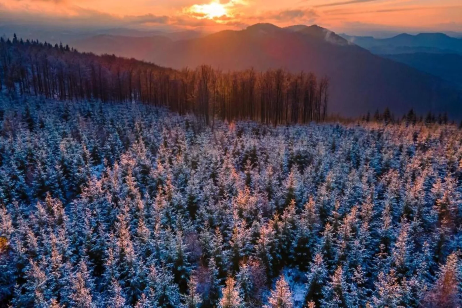 Blokhuis Winterberg Tulp-Area within 20km in winter