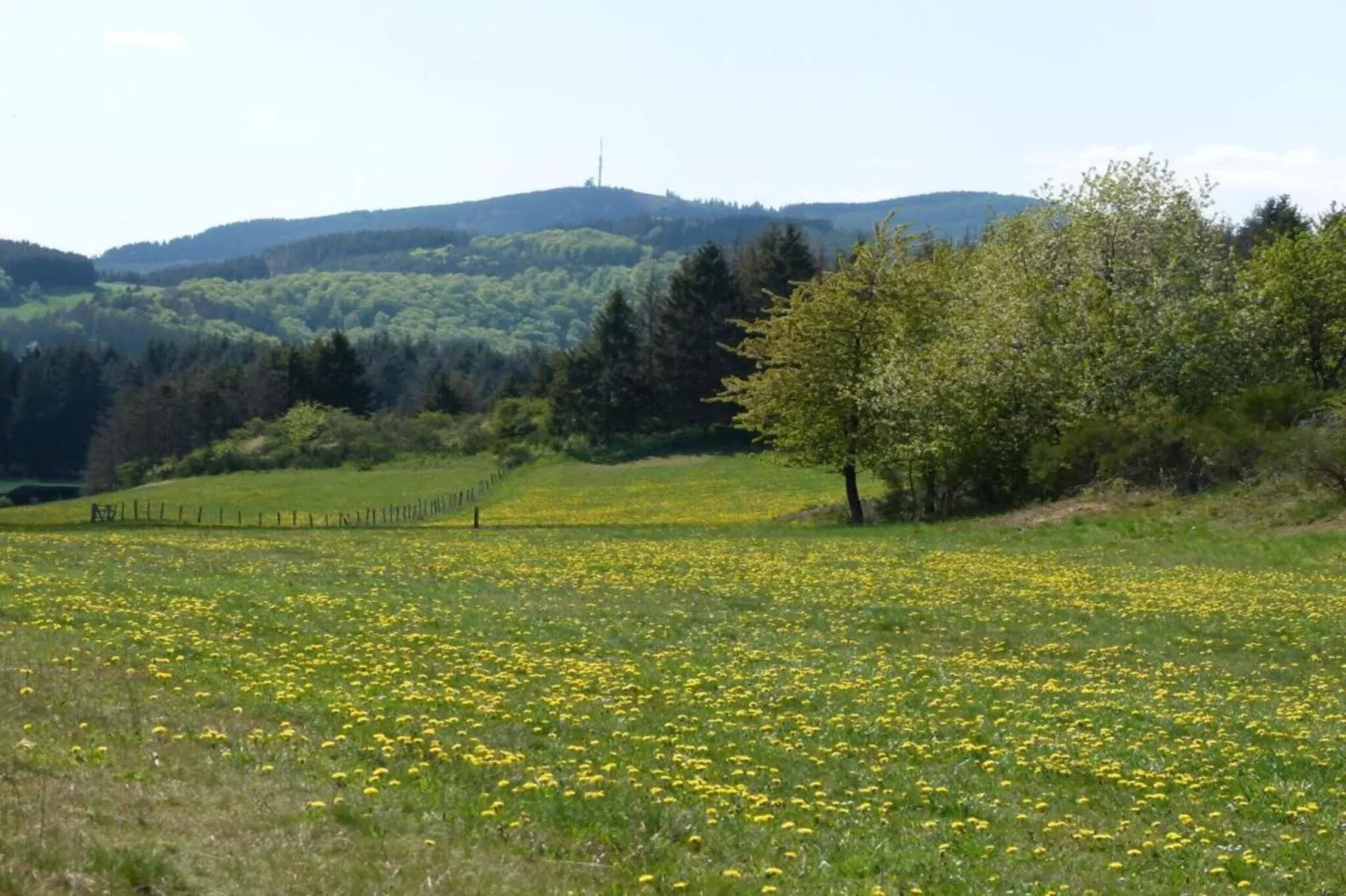 Im Sauerland-Areas within 20km in summer