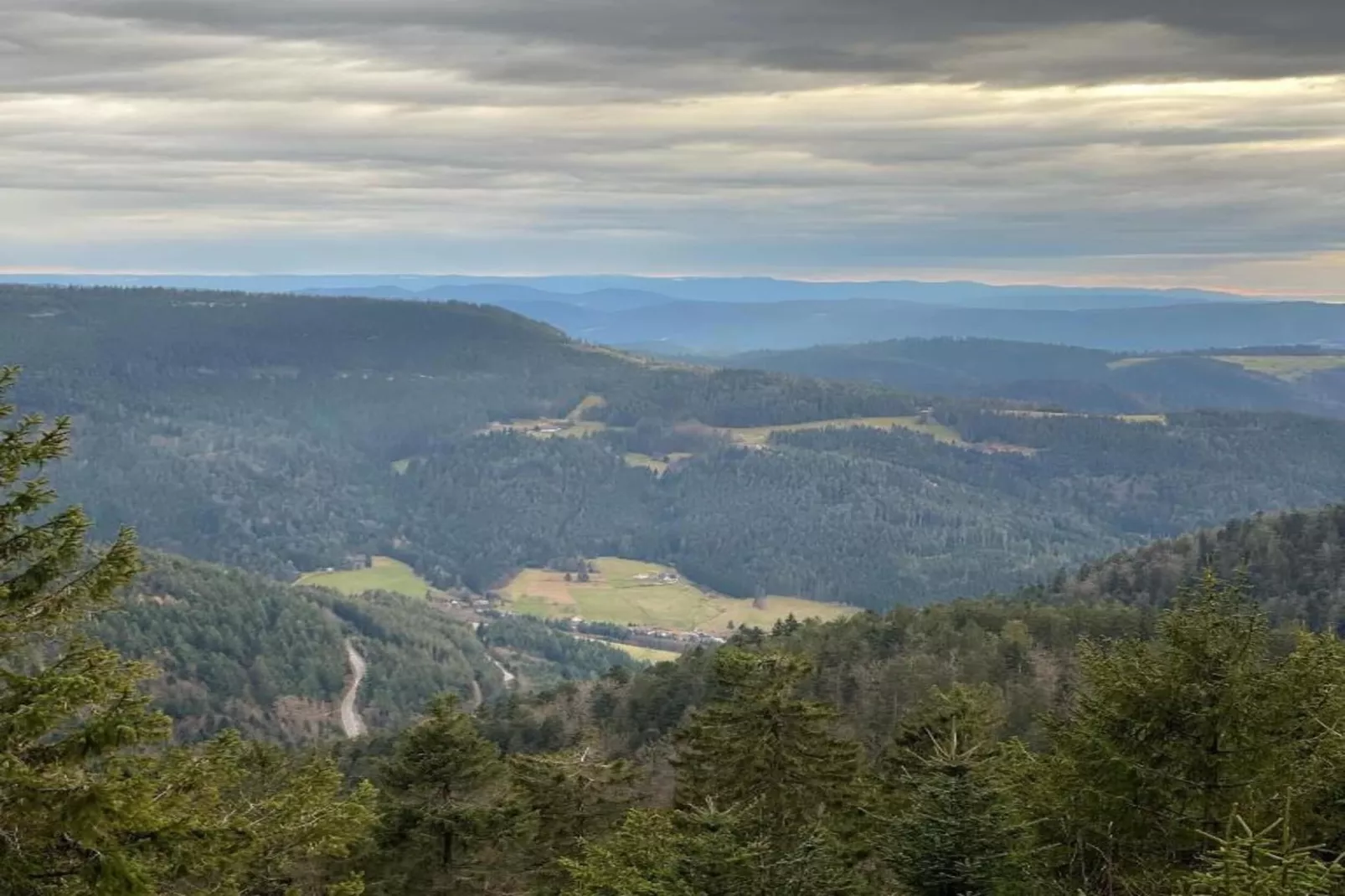 Kniebis-Areas within 20km in summer