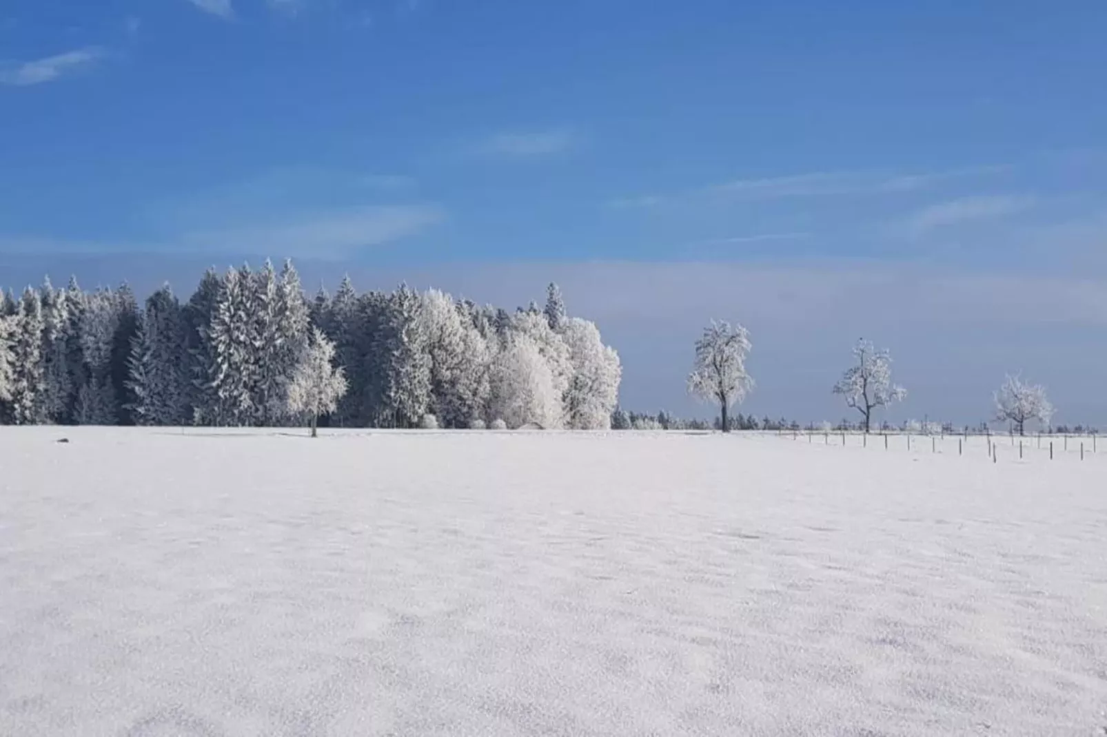 Marianne-Area within 20km in winter