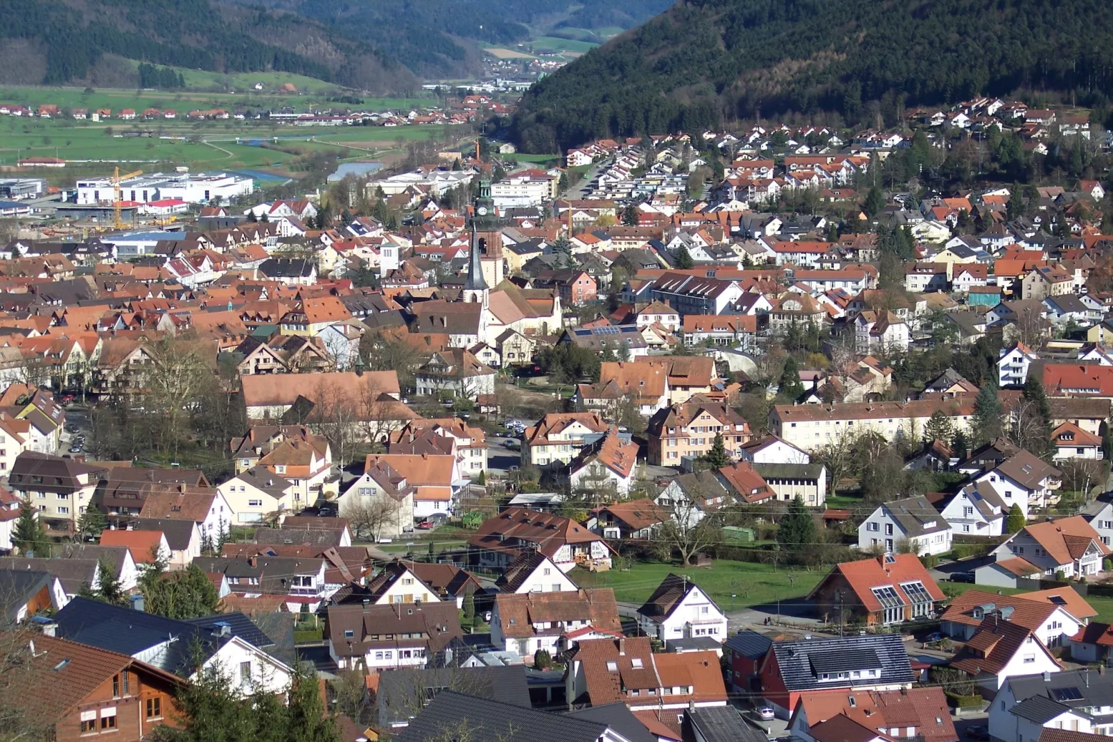 Im Kinzigtal-Areas within 1km in summer